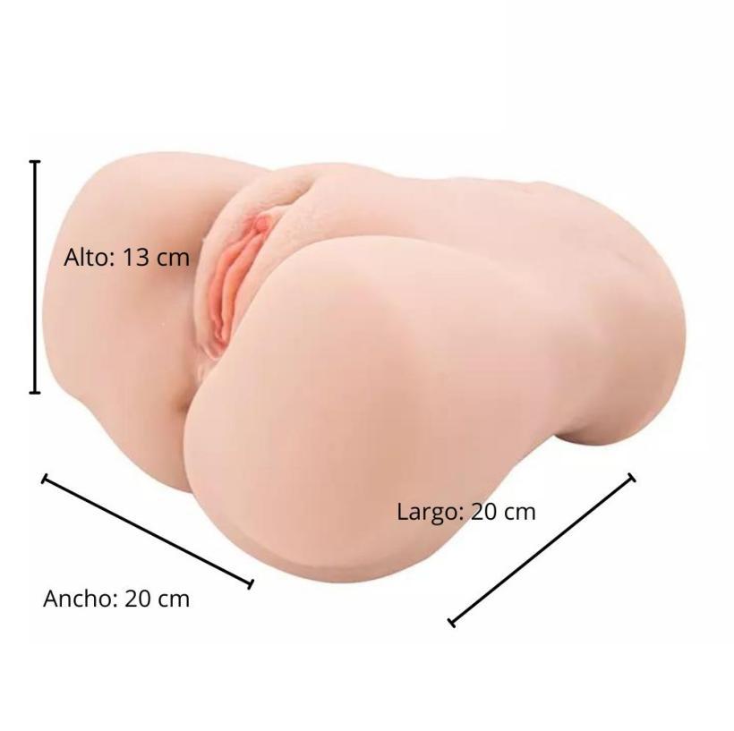 Fotografía de referencia de torso anatómico.