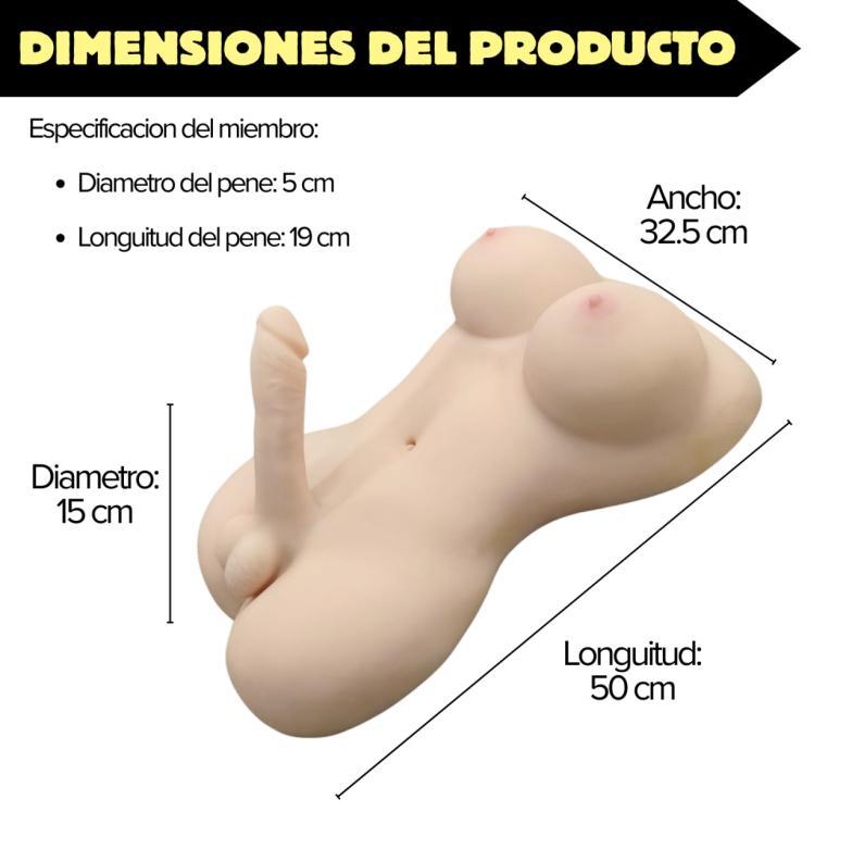 Fotografía de referencia de torso anatómico.