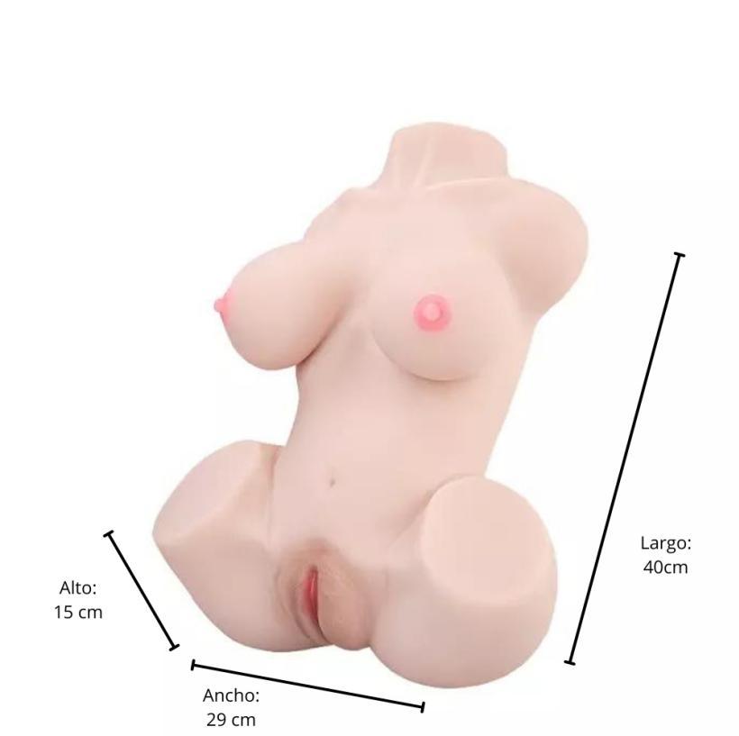 Fotografía de referencia de torso anatómico.