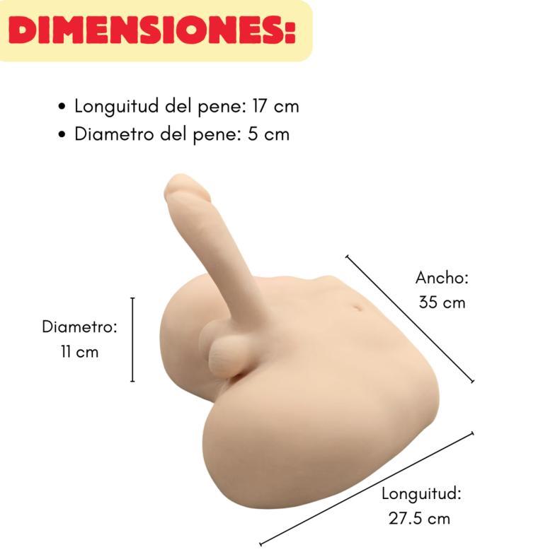 Fotografía de referencia de torso anatómico.