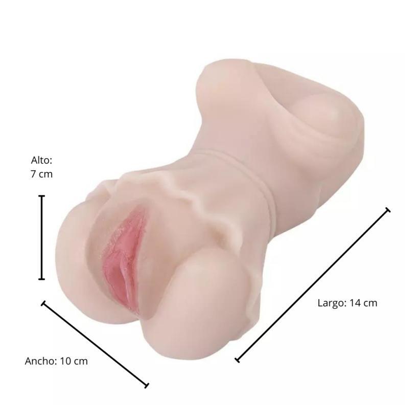 Fotografía de referencia de torso anatómico.