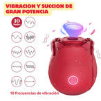 Fotografía de referencia de rosa recargable.