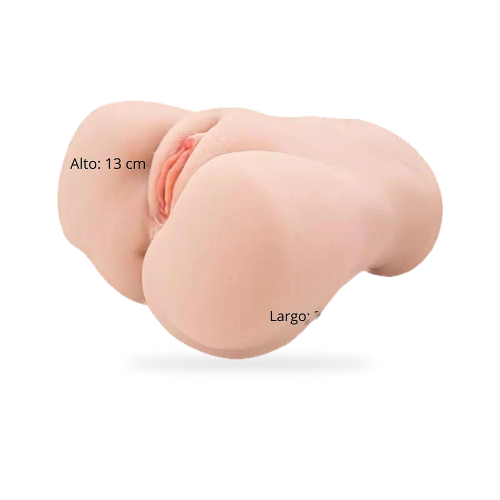 Fotografía de referencia de torso anatómico.
