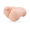 Fotografía de referencia de torso anatómico.
