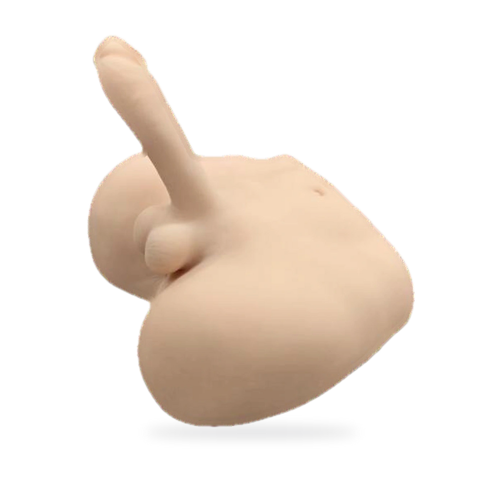 Fotografía de referencia de torso anatómico.